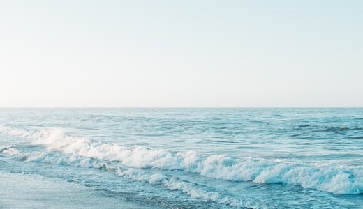 What is “The Agile Woker”